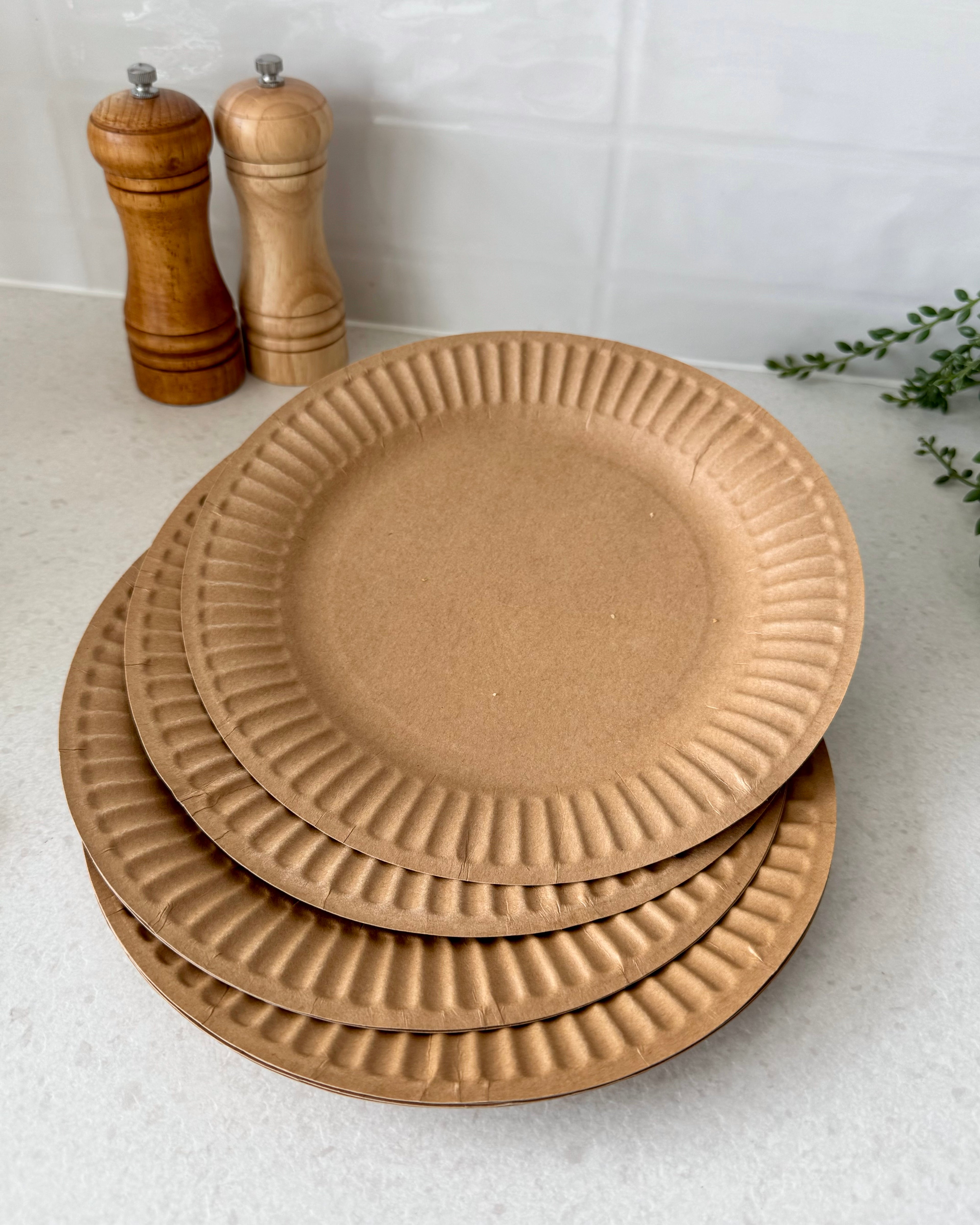 Pansmith Convenient Disposable Brown Kraft Paper Plates - Unbleached and Uncoated 9-inch - 30 Count